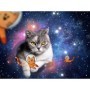 Puzzle Pisicute In Spatiu, 1500 Piese Ravensburger - 1